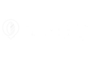 6 6